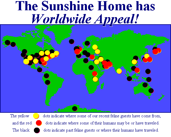 world map
